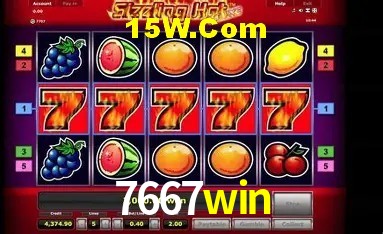Bonus Features 7667win