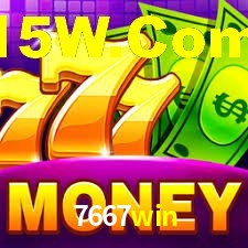 Premium Interface 7667win
